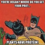 Read more about the article Protein Shakes – The Alternatives – Soy