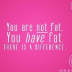 Read more about the article You are not fat, you HAVE fat