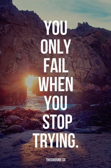 You are currently viewing Why I stopped training and how I plan to get back on that wagon.